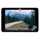 Recherche de cyan magnets Paysage