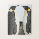 Recherche de pingouins puzzles Mignon