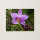 Recherche de orchid puzzles Tropical