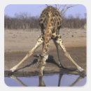 Recherche de animaux de marais autocollants Nature