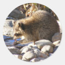 Recherche de winter autocollants Animaux