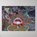 Recherche de wide posters Nature