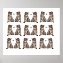 Recherche de chatons posters Chatte