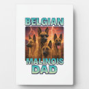 Recherche de belge plaques Chien