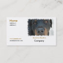 Recherche de rottweiler cartes visite Chiot