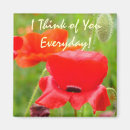 Recherche de coquelicot magnets Pavot