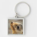 Recherche de otarie accessoires Faune