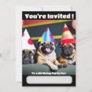 Recherche de chien carlin invitations Drôle