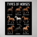 Recherche de dressage art Ranch