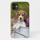 Recherche de chiot de beagle iphone coques Animal
