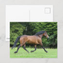 Recherche de nouvelle b posters Animal