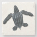 Recherche de tortues dessous de verres Pour tous