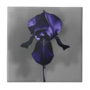 Recherche de iris carreaux Floral