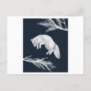 Recherche de loup arctique cartes postales Animaux