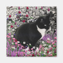 Recherche de compagnon animal magnets Amour