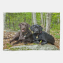 Recherche de marionnettes cuisine linges Chien