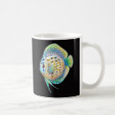 Recherche de de poissons tasses Aquarium