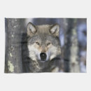 Recherche de loup cuisine linges Neige
