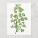 Recherche de ivy cartes postales Botanique