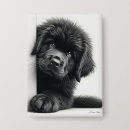 Recherche de terre neuve badges Chien