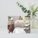Recherche de salon de toilettage cartes postales Toilettage des animaux