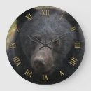 Recherche de ours photographie Faune
