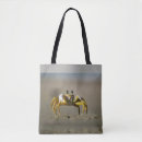 Recherche de crabe sacs Sable