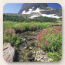 Recherche de du nord dessous de verres Pittoresque