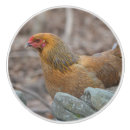 Recherche de poule boutons et poignées de porte Ferme
