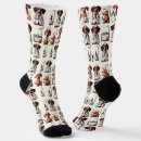 Recherche de dachshund socks Chiot