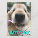 Recherche de cute dogs invitations Toute personne