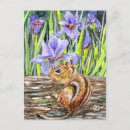 Recherche de tamia cartes postales Animal