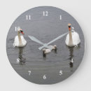 Recherche de cygne horloges Sauvagine