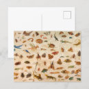 Recherche de kessel cartes postales Papillon