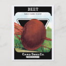 Recherche de légumes vintages cartes postales Rétro