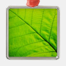 Recherche de macro ornements Nature