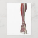 Recherche de pied humain posters De travail