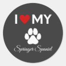 Recherche de springer spaniel Animaux domestiques