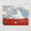 Recherche de lecteur cartes postales Chat