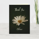 Recherche de floraison photographie Pétales