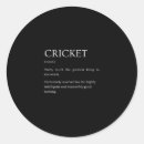 Recherche de swing autocollants Amateur de cricket
