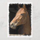 Recherche de pur sang invitations Cheval