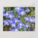 Recherche de myosotis cartes postales Pour tous