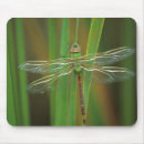 Recherche de nancy tapis souris Superstock