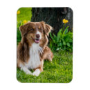 Recherche de mignon magnets Personnalisation