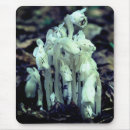 Recherche de fleurs sauvages tapis souris Mère