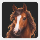 Recherche de crinière autocollants Cheval brun