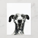 Recherche de whippet cartes postales Greyhound