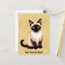 Recherche de vieux cartes postales Drôle