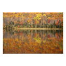 Recherche de yankees posters Voyage